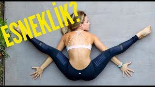 Günlük Esneme Egzersizleri  Daily Stretching Routine [upl. by Adriane937]