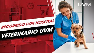 Recorrido por el Hospital Veterinario en Campus Coyoacán [upl. by Beard]