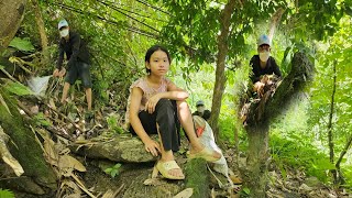 Orphan girl  went to the forest to pick fruit to sell was stolen by bad guys [upl. by Noid]