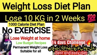 Lose 10 kg in 2 weeks  Lose Weight at Home  14 days challenge  1000 Calorie Roti amp rice Diet [upl. by Annaik802]