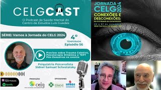 Trauma Coletivo Psicoterapia e TEPT em Desastre com Psiquiatria Sidnei Schestatsky  2024 CELGCast [upl. by Orlina]