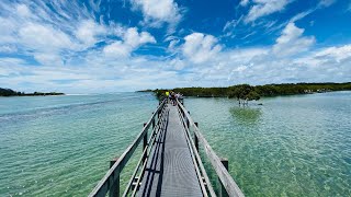 Urunga Boardwalk NSW [upl. by Gery]