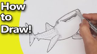 How to Draw Finding Dory Characters  Destiny the Whale Shark  Step by Step Drawing Tutorial [upl. by Mur]