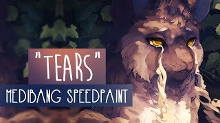 Tears  SPEEDPAINT  Medibang Paint Pro [upl. by Sinylg]