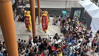 Tung Tek Lion dance CNY 2024 [upl. by Leverick967]