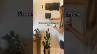 Black Paint Color Swatches  Living Room Makeover [upl. by Zolner]