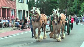 Belgian Draft HorsesKeerbergenKarrenen wagenstoet2013 [upl. by Ingamar]