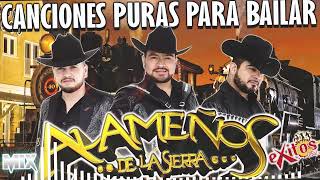 Los Alameños de La Sierra Mix 2024 💃🎸 Las Mas Chingonas Pa Bailar 🔥 Popurri Cumbias Mix [upl. by Dempsey]