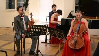 Brahms Piano trio in B major op8 [upl. by Watt809]