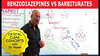 Benzodiazepines Vs Barbiturates  Pharmacology  Dr Najeeb Lectures [upl. by Gina]