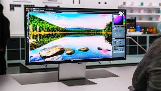 Best Dell Monitors  Top 10 in 2024 [upl. by Av]