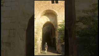 Cordes sur Ciel un des plus beaux village de France plusbeauvillagedefrance cordessurciel [upl. by Zerelda402]