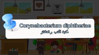 Corynebacterium diphtheriae مكتبة الكتب و الدفاتر 📒AlbaMicro 🤍🧪 [upl. by Hsiri598]