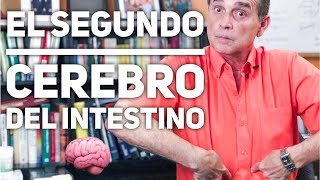 Episodio 1485 El Segundo Cerebro Del Intestino [upl. by Rogozen586]