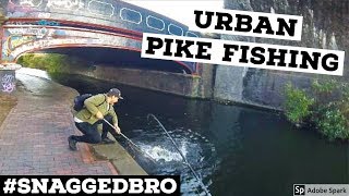 PIKE FISHING with Lures  Urban Pike 2 [upl. by Bracci]