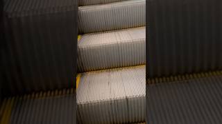 2008 ThyssenKrupp Escalator  Brisbane International Airport Brisbane QLD Australia [upl. by Ard]