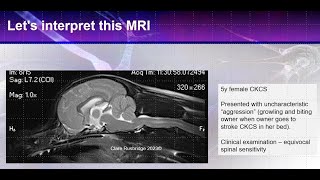 MRI interpretation of Canine Chiari and syringomyelia  from the expert [upl. by Eldoria946]