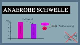 Laktatschwelle  Anaerobe Schwelle einfach erklärt  Laktatstufentest für wen geeignet Laktattest [upl. by Hnamik]