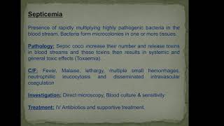 Septicemia amp bacteremia [upl. by Marelda]