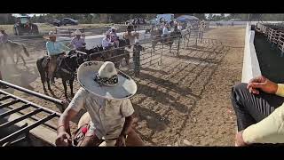 9142024 dia del charro competencia Abierta Rancho las delicias [upl. by Ayna644]