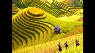 Du lịch sapa vẻ đẹp thiên nhiên  Vietnam Discovery [upl. by Mcclain]