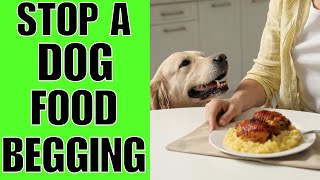 How To STOP A Dog From Begging For Food SIMPLE [upl. by Kaasi716]