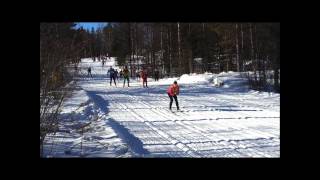 Vasaloppet 2013 crashes cut Risberg vurpor HD [upl. by Benedikta158]