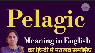 pelagic meaning l meaning of pelagic l pelagic ka Hindi mein kya matlab hota hai l vocabulary [upl. by Nylle99]