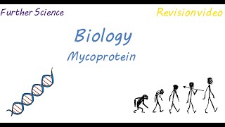 B3 Mycoprotein Revision [upl. by Selia]