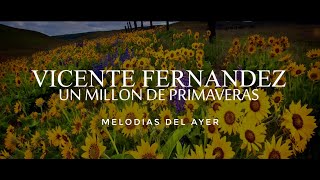 un millón de primaveras de Vicente Fernández versión chems [upl. by Tham]