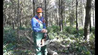 How to cross cut timber using the boring technique to prevent trapping your chainsaw [upl. by Tyne]