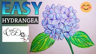 How To Draw A Hydrangea Flower Step By Step For Beginners Easy Flower Drawing Tutorial  Draw Easy [upl. by Nuncia587]