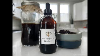 DIY Propolis Tincture Recipe [upl. by Dolloff641]