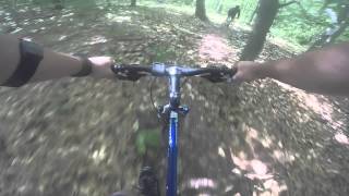 Wendell State Forest Mountain biking [upl. by Yt321]