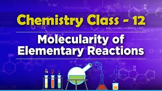 Molecularity of Elementary Reactions  Chemical Kinetics  Chemistry Class 12 [upl. by Okuy]