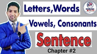 Completely explained Letter  Words  Vowels  Consonants and Sentence in grammar  Hindi [upl. by Raddie]