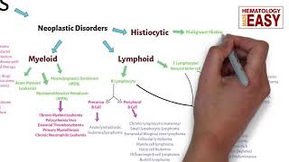 WBC Disorders ClassificationLeukocytosisLeukopeniaLeukemiaLymphoma [upl. by Llehsal]