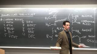 Ep5 organic chemistry functional groups micelles electrostatics UCSD NANO 11101 Darren Lipomi [upl. by Akoyn]