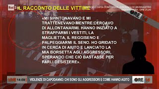 Violenze di Capodanno chi sono gli aggressori e come hanno agito  Ore 14 del 13012022 [upl. by Bainbridge]