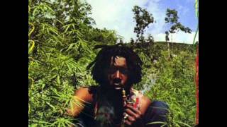 Peter Tosh  Burial [upl. by Vod545]