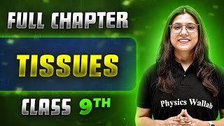 Tissues FULL CHAPTER  Class 9th Science  Chapter 6  Neev [upl. by Labotsirhc717]