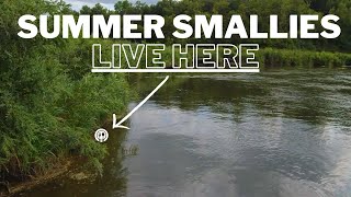 Breaking Down a River in the Summer for Big Smallmouth Bass Locations and Tips [upl. by Llenra]