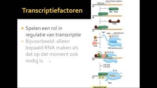 VWO Thema DNA transcriptie [upl. by Angil]