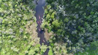 Manchac Swamp Tour by Guided Kayak Tour [upl. by Ttayw]