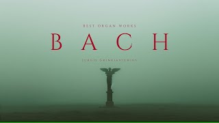 Best Organ Works of Bach  Classical Music Gems [upl. by Xed]