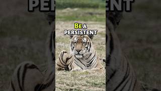 Being persistent is the difference between success and failure shorts motivation mindsetsecrets [upl. by Zennas]