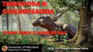 Lecture 23 Theropoda II Coelurosauria Tyrant Kings and Lesser Royals [upl. by Moir]