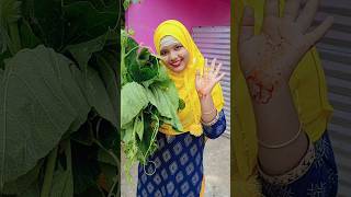 Muslim style pumpkin leaves vegetable recipe 🎃🎃🎃 recipe vegetables shorts [upl. by Hilda78]