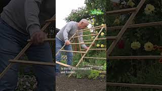 Kletterhilfe für Obst und Gemüse gartendiy rankgerüst kletterhilfe [upl. by Ordnajela727]