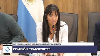 COMISIÓN COMPLETA TRANSPORTES  10 de septiembre de 2024  Diputados Argentina [upl. by Yenitirb381]